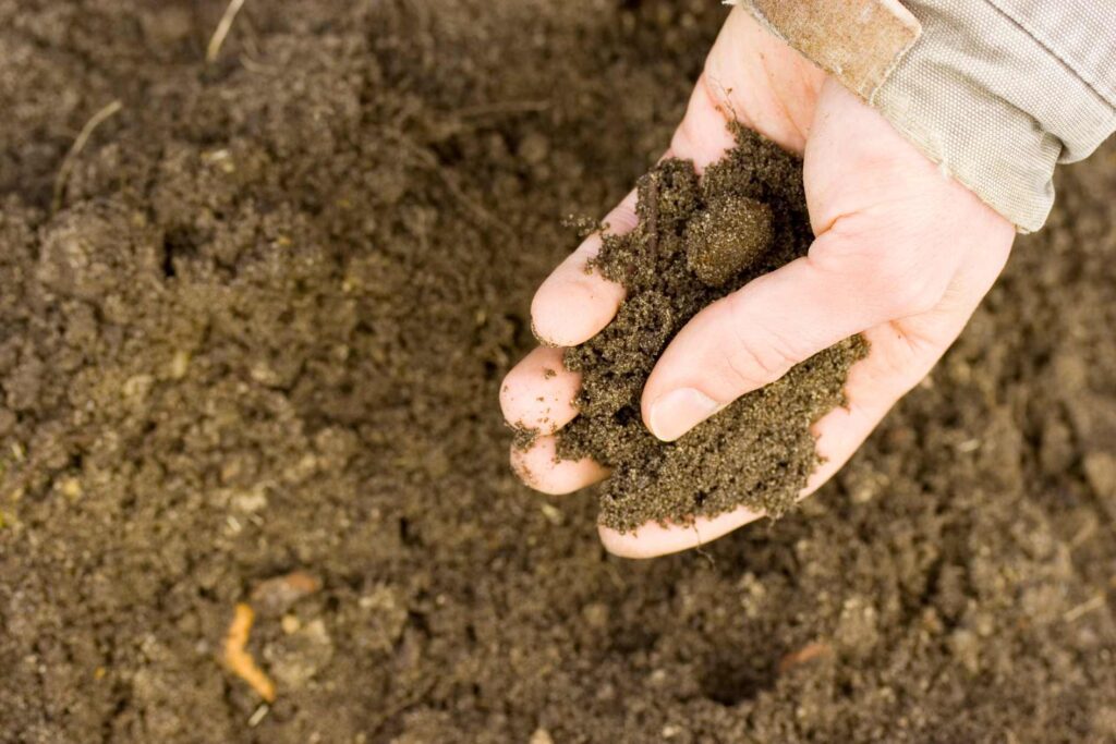 How-to test your soil — North Carolina